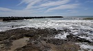 Punta Secca - Santa Croce Camerina (RG), i luoghi del Commissario Montalbano,  scogliera